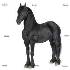 loiáýžřrf