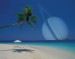 images (31)